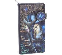 Nemesis Now B4864P9 Lisa Parker Fairy and Owl Purse 18.5cm, PU, Black, One Size