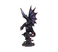 Nemesis Now Cathoron's Call Black Dragon, Cast in the Finest Resin | Resin, Expertly Hand-Painted