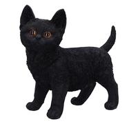 Nemesis Now Charmed Companion Decoration Articles multicolor Onesize