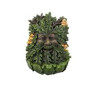 Nemesis Now D4267M8 Elderwood Wall Plaque 19cm Green, Polyresin, 23.8cm