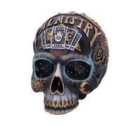 Nemesis Now Destiny Tarot Sun Moon Moth Black Skull Ornament Figure Wiccan Gift