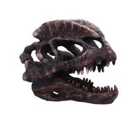 Nemesis Now Dinosaur Skull Statue - Gifts & Decor for Paleontology Enthusiasts and Collectors - Hand-Painted Resin Dinosaur Fossil - Dilophosaurus