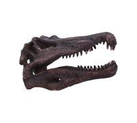 Nemesis Now Dinosaur Skull Statue - Gifts & Decor for Paleontology Enthusiasts and Collectors - Hand-Painted Resin Dinosaur Fossil - Spinosaurus