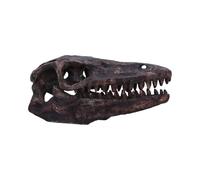 Nemesis Now Dinosaur Skull Statue - Gifts & Decor for Paleontology Enthusiasts and Collectors - Hand-Painted Resin Dinosaur Fossil - Archaeopteryx