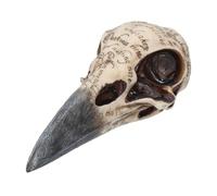 Nemesis Now Edgar's Raven Skull Figurine 25cm Ivory
