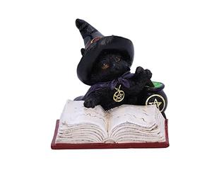 Nemesis Now Familiar's Brew Cat Figurine, Black, 8.5cm