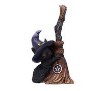 Nemesis Now Familiars Broom 11.5cm, Black