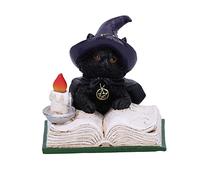 Nemesis Now Familiar's Spell Cat Figurine, Black, 8.5cm