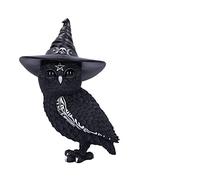 Nemesis Now Cult Cuties Owlocen 30cm, Resin, Black, Large Owlocen Owl Figurine, Scarily Adorable Bewitching Owl Figurine, Witch Owl Figurine, Cast in the Finest Resin, Expertly Hand-Painted