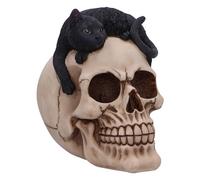Nemesis Now Forever Friend Cat on Skull 14.5cm, Resin, Black/Bone, Cat Laying on Skull Ornament, Gothic Cat Décor, Cast in the Finest Resin, Expertly Hand-Painted, Off White, U6725A24