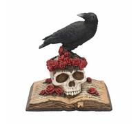 Nemesis Now Heartaches Reflection Raven Crow Roses Skull Books Gothic Gift 17cm