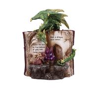 Nemesis Now Hoard Finders Dragon with Book Crystal Figurine
