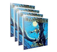 Nemesis Now Iron Maiden Fear of The Dark Crystal Clear Picture 32cm, MDF and Resin, Black