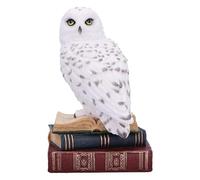 Nemesis Now Library of Wisdom Figurine 17cm, Resin, White, White Owl on Books Ornament, Fantasy Books Book Shelf Display Piece, Cast in the Finest Resin, Expertly Hand-Painted