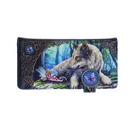 Nemesis Now Lisa Parker Fairy Stories Embossed Purse 18.5cm, PU, Multi Coloured, Lisa Parker Merchandise, 3D Effect Detailing, Large Cash and Cards Compartments