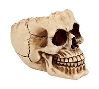 Nemesis Now Lobo Ashtray 13.5cm Ivory