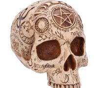 Nemesis Now Ltd Apothecary Skull Figurine - Occult Gothic Decorative Skull Ornament
