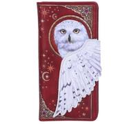 Nemesis Now Magical Flight Wallet