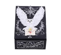 Nemesis Now Owl Messenger Box, Snowy Owl with Sealed Letter on Gothic Floral Resin Trinket Box, Hand-Painted Fantasy Storage for Jewelry and Treasures