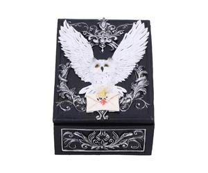 Nemesis Now Owl Messenger Box, Snowy Owl with Sealed Letter on Gothic Floral Resin Trinket Box, Hand-Painted Fantasy Storage for Jewelry and Treasures