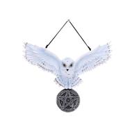 Nemesis Now Owl Talisman - 20.5 cm White Owl Charm on Black Pentagram Medallion Base - Hand-Painted Resin Pendant for Collectors & Decor