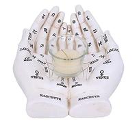 Nemesis Now Palmist's Guide White Chiromancy Hands Candle Holder, 22..3cm
