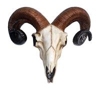 Nemesis Now Rams Skull Medium Wall Plaque 32.5cm Ivory, Resin, One Size