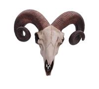 Nemesis Now Rams Skull Medium Wall Plaque 32.5cm Ivory, Resin, One Size