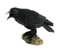 Nemesis Now Raven's Call 20cm, Black