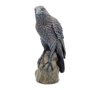 Nemesis Now Ravens Rest Figurine 20cm Black