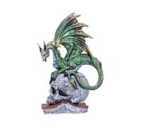 Nemesis Now Resin Dragon Statue - Hand-Painted Dragon Figure Perched on a Metallic Skull and Book - Gifts & Decor for Fantasy Lovers - Ignisars Rule