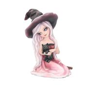 Nemesis Now Rosa Figurine Witch Black Cat Ornament