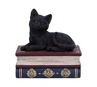 Nemesis Now Salems Spells Witches Familiar Black Cat and Spellbook Box, 11.7cm