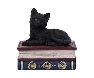 Nemesis Now Salems Spells Witches Familiar Black Cat and Spellbook Box