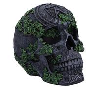 Nemesis Now Skull Figurine - Resin Skull Ornament, Hand-Painted Gothic Fantasy Decor, Mythical Collector Display Piece - Aged Pentagram