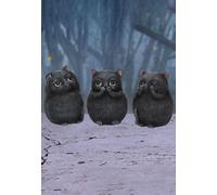 Nemesis Now Three Wise Fat Cats 8.5cm Figurine, Resin, Black