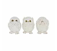 Nemesis Now Three Wise Owls Snowy White Owl Birds Nature Cute Gift 8cm