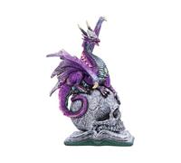 Nemesis Now Resin Dragon Statue - Hand-Painted Dragon Figure Perched on a Metallic Skull and Book - Gifts & Decor for Fantasy Lovers - Titans Reign