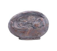 Nemesis Now Tyrannosaurus Rex Egg Figurine 13.3cm - Fossilised Baby T-Rex Skeleton Display Ornament