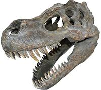 Nemesis Now Tyrannosaurus Rex Skull Small Wall Plaque 31cm Brown