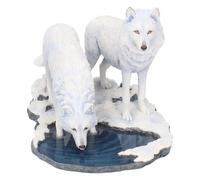 Nemesis Now Warriors Of Winter 35cm Figure