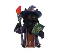 Nemesis Now Wizard Cat Figurine, Magic Cat Figure Trinket with Spell Book, Torch, and Wizard Attire, Hand-Painted Resin Fantasy Decor - Magnus