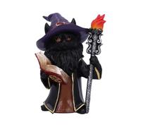 Nemesis Now Wizard Cat Figurine, Magic Cat Figure Trinket with Spell Book, Torch, and Wizard Attire, Hand-Painted Resin Fantasy Decor - Albus