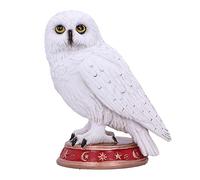 Nemesis Now Wizard's Familiar Owl Figurine, White, 10cm