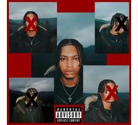 Nemzzz - DO NOT DISTURB (RSD2025) [VINYL]