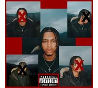 Nemzzz - DO NOT DISTURB (RSD2025) [VINYL]