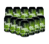 Nene Valley Big Bang Theory Gluten Free Pale Ale - 12 x 330ml Cans | British Craft Pale Ale | Gluten Free Beer | Vegan Friendly | 5.2% ABV