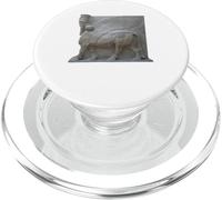 Neo Assyrian Lamassu Winged Bull Guardian Relief Design PopSockets PopGrip for MagSafe