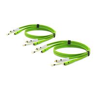 NEO by Oyaide d+ RCA Turntable DUO (Class B) Durable Audio Cable for DJ’s, Musicians and Producers, 2 x 1 Meter. Compatible with all RCA input devices