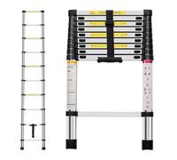 Neo Extendable Portable Foldable Telescopic Ladder Multi-Purpose Stainless Steel Telescoping Ladder Sturdy Loft Ladder with EN131 Certificate (2.9M)